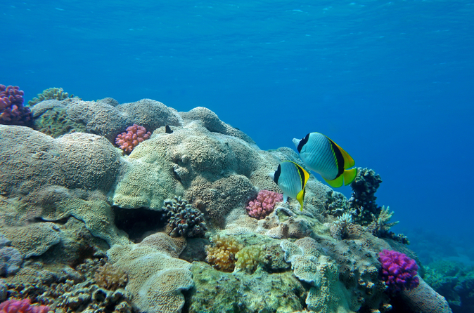 af5749956b7d050475e7617c30616950ba32a889