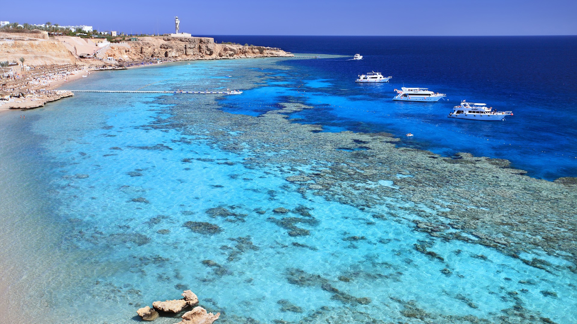 beach-egypt_00310095